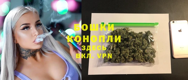 соль ск Зеленодольск