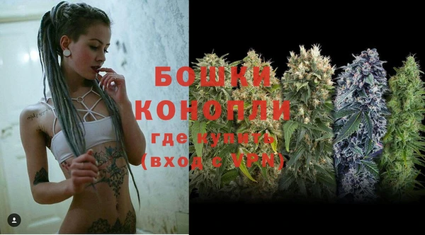 трава Инта