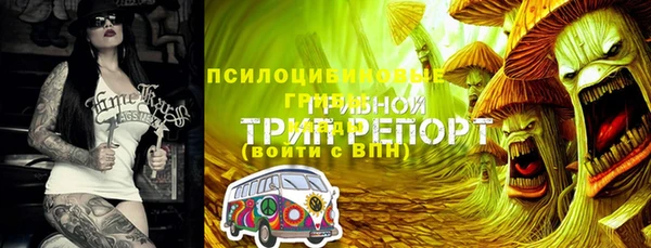соль ск Зеленодольск