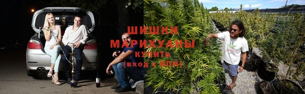 трава Инта