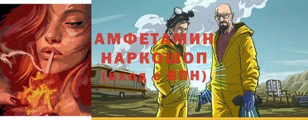 трава Инта