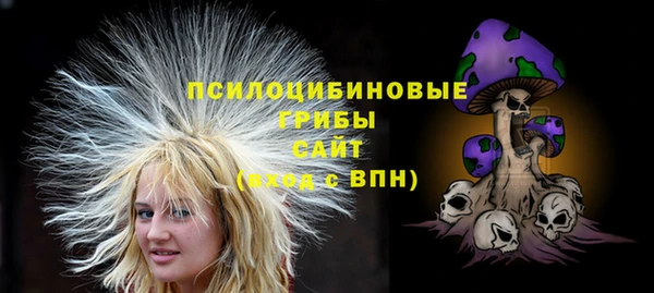 трава Инта