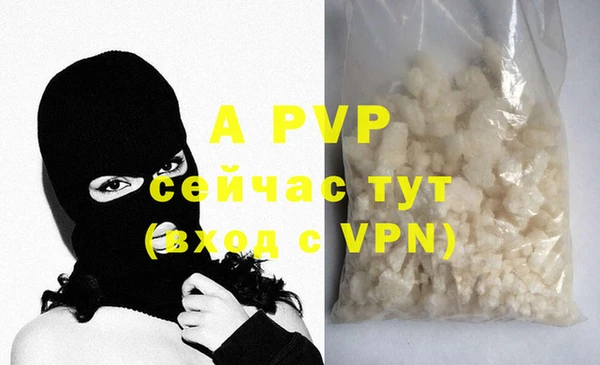 mdpv Каменногорск